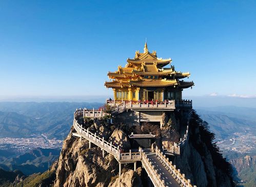 云看萬張圖不如實地觀賞一朵牡丹花